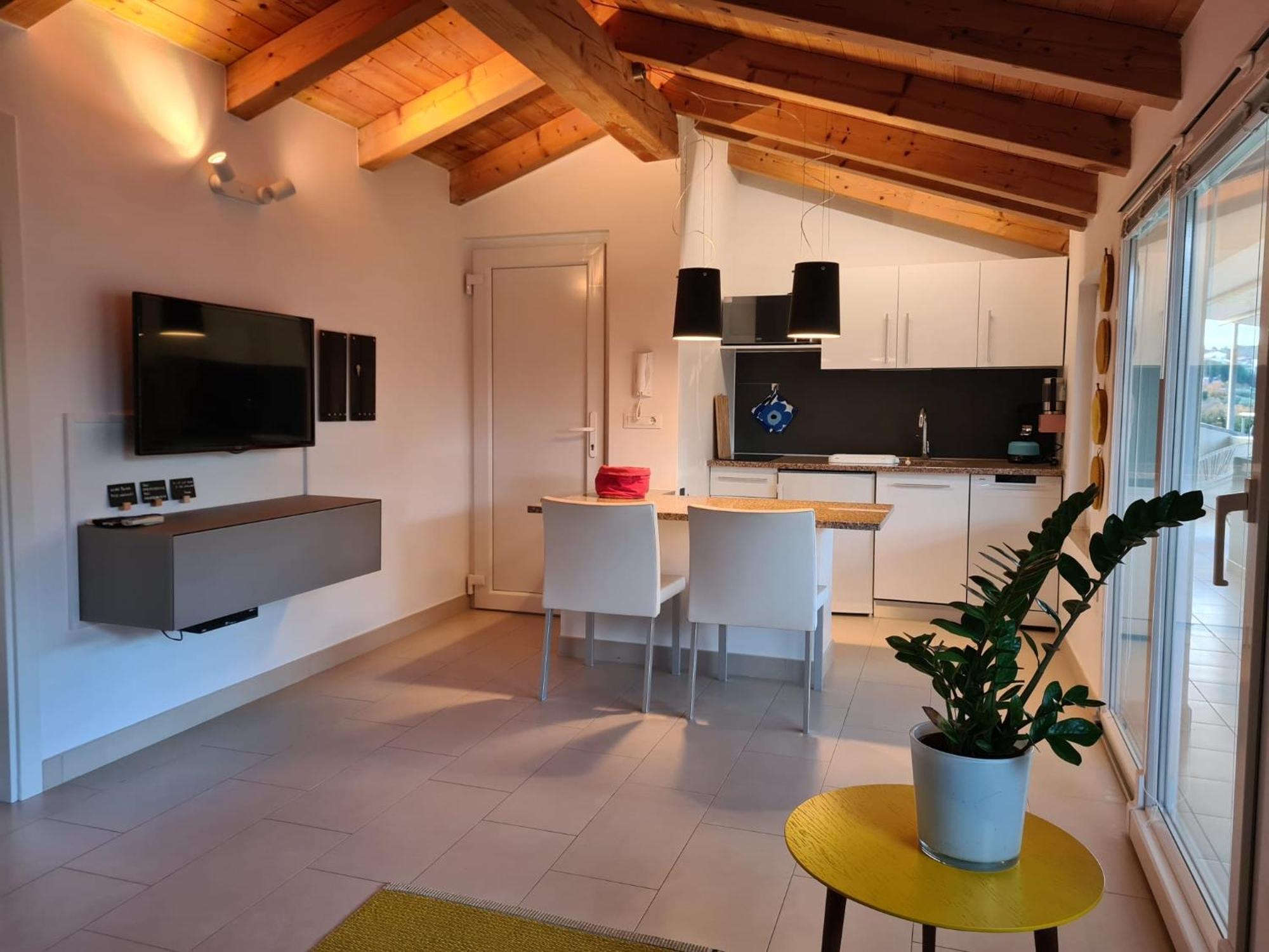Apartment Robi *