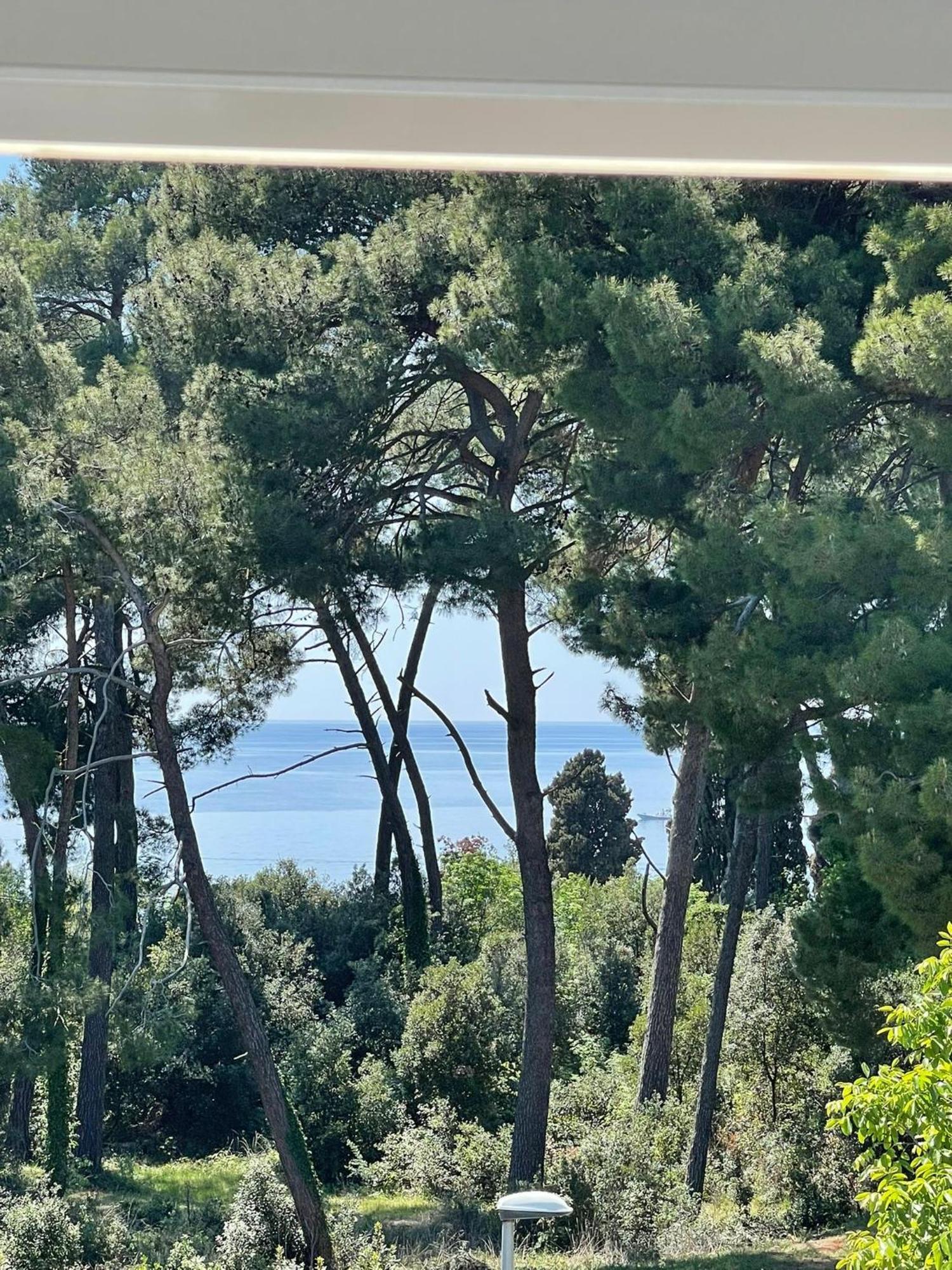 Apartment Robi Rovinj